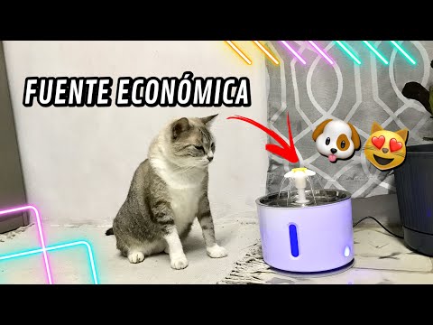Fontaine pour CHAT et CHIEN Ça vaut le coup ? - Unboxing et examen de la fontaine électrique pour animaux de compagnie 🐶🐱🐱.