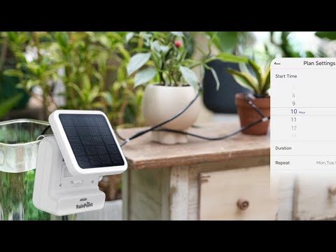 Bomba de irrigação solar para interior e varanda RAINPOINT WIFI - REVISÃO
